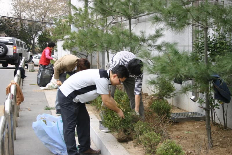 2008-3-22 화단가꾸기(1) - 1