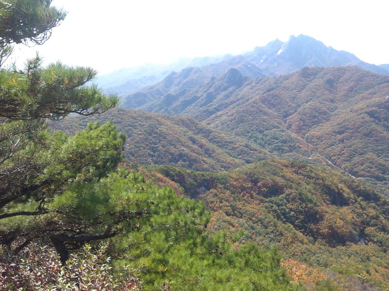 20011년 가을 (등산반) - 1