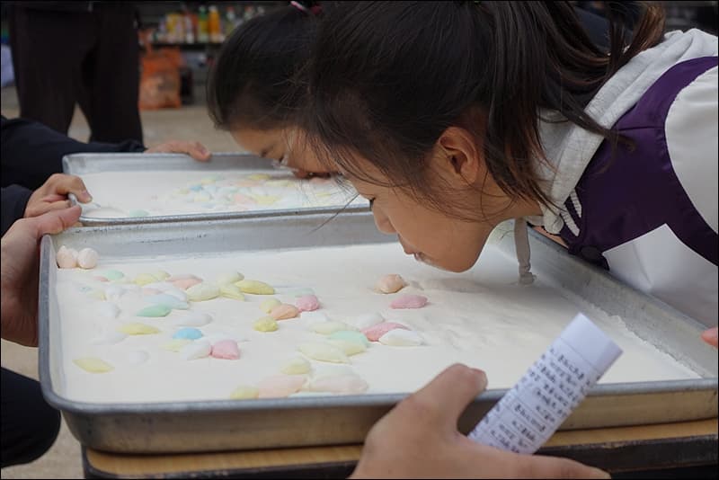 평화가족한마당(촬영:한문식) - 8