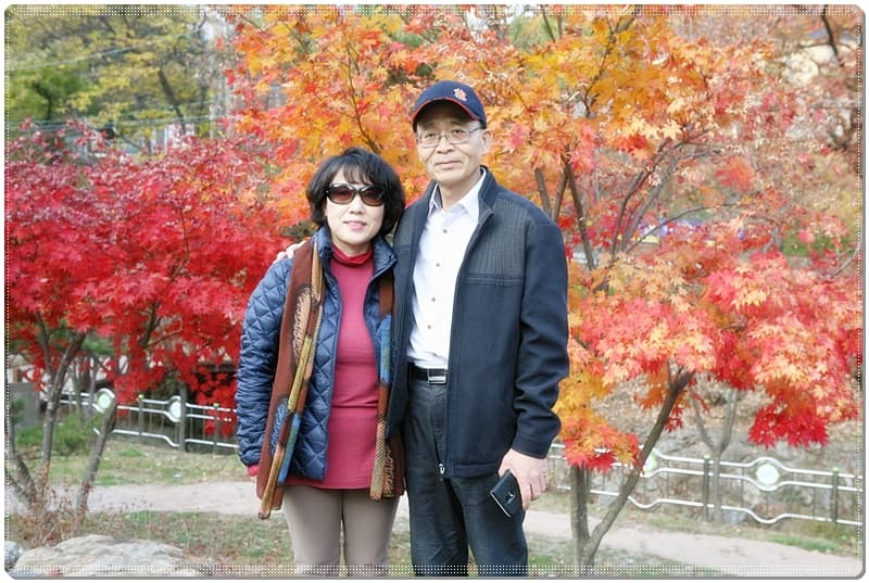 2015년 가을 효도관광 - 22