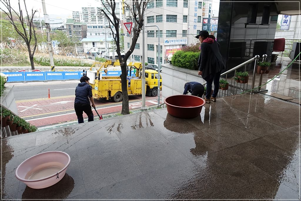 봄맞이 화단 꽃심기 - 2