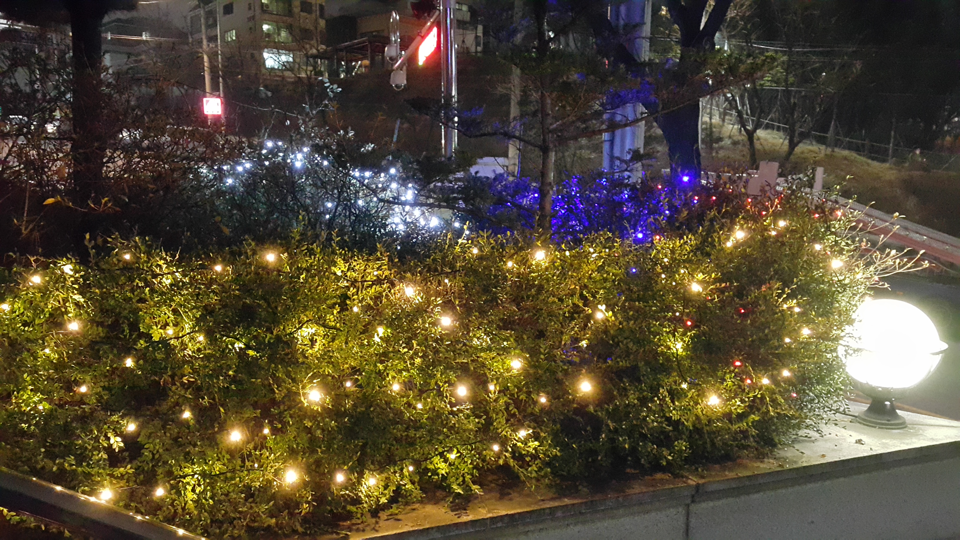 2016 성탄외부장식사진첩 - 2