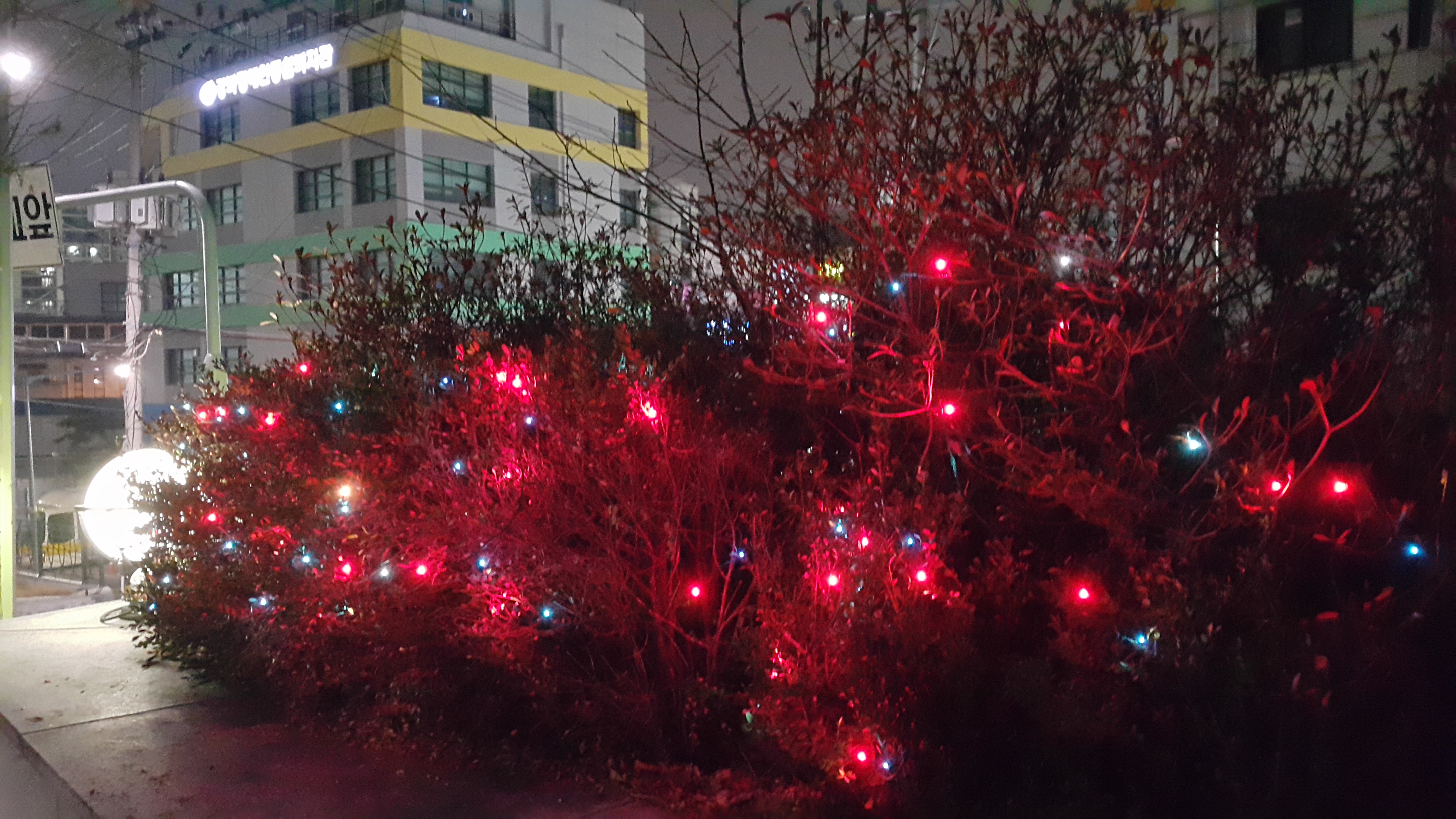 2016 성탄외부장식사진첩 - 3