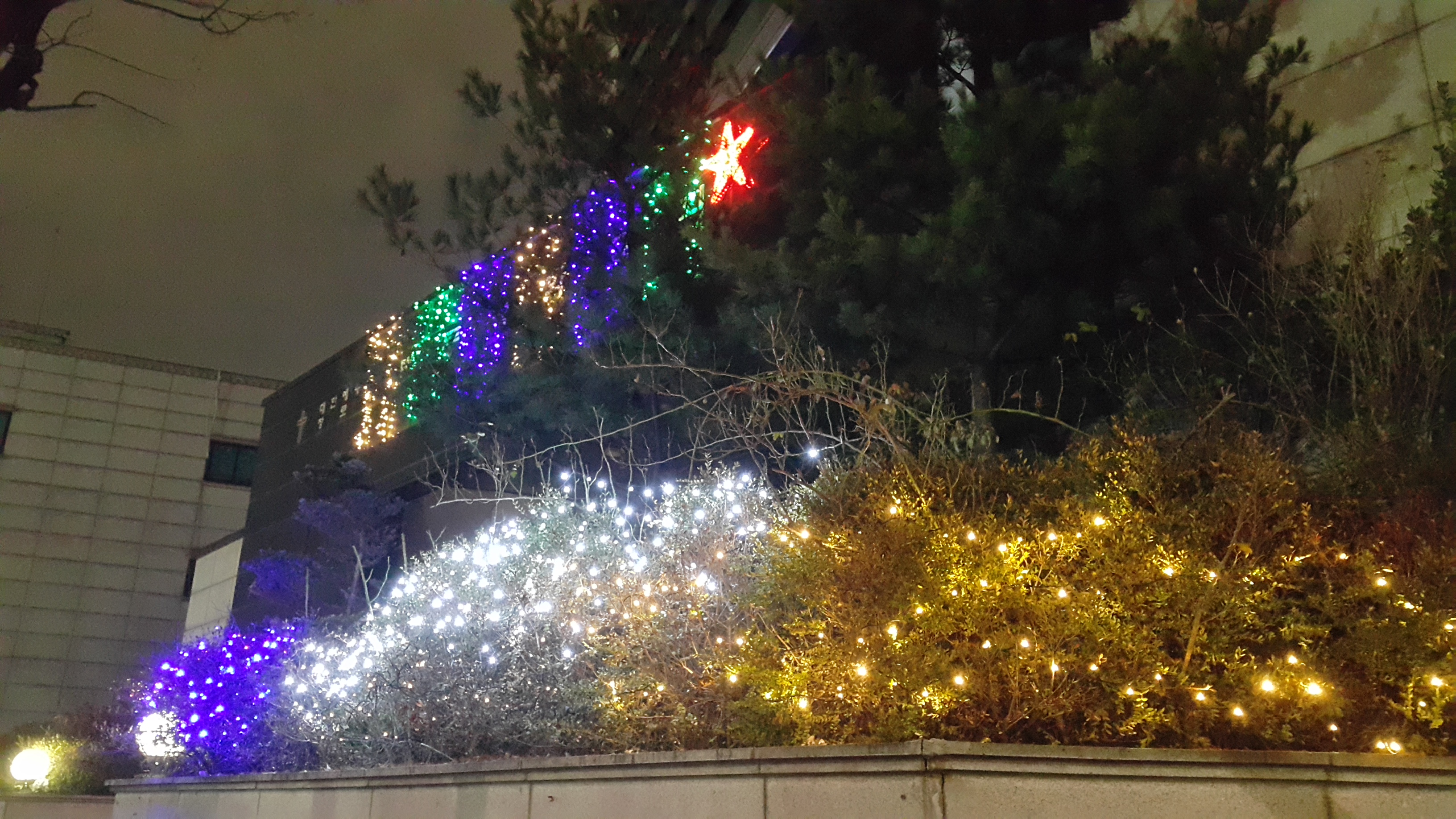 2016 성탄외부장식사진첩 - 5