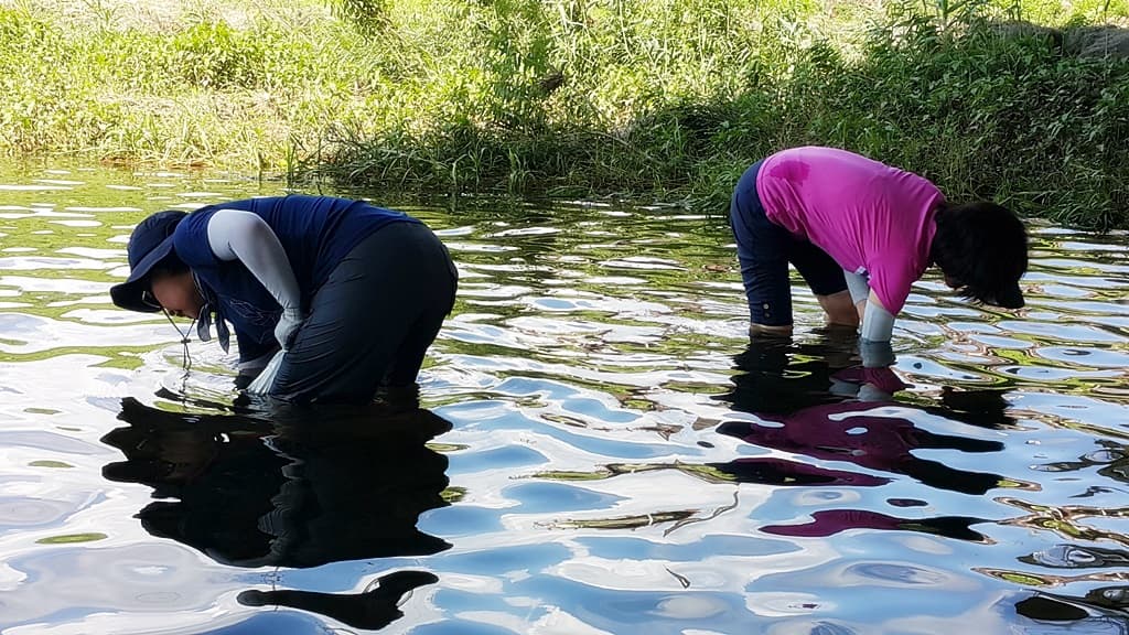2017년 7/31- 8/2 전교인여름대회 다슬기축제 - 2