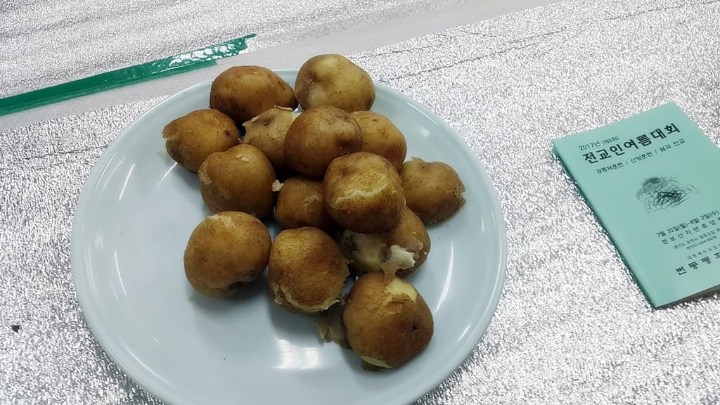 2017년 7/31- 8/2 전교인여름대회 공동체시간 (1) - 8