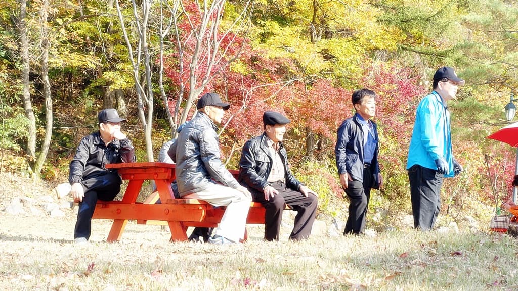 2017년10월31일 효도관광 - 6