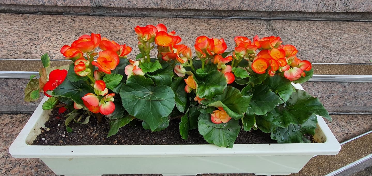 2022.05.14-15 교회대청소 - 22