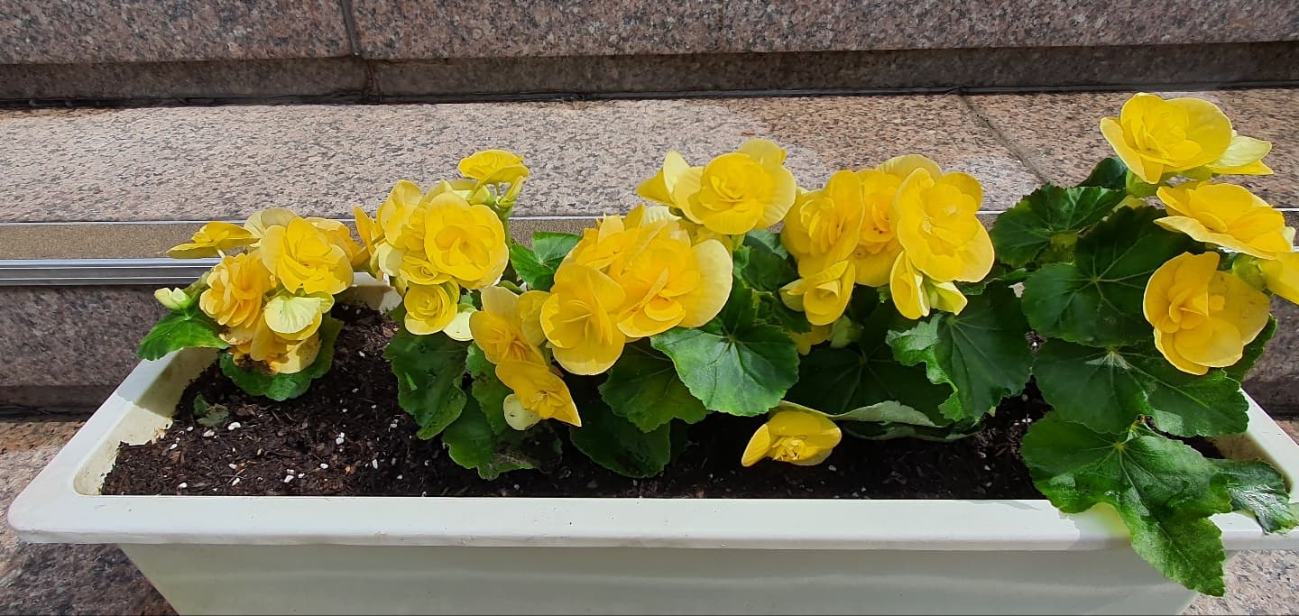 2022.05.14-15 교회대청소 - 23