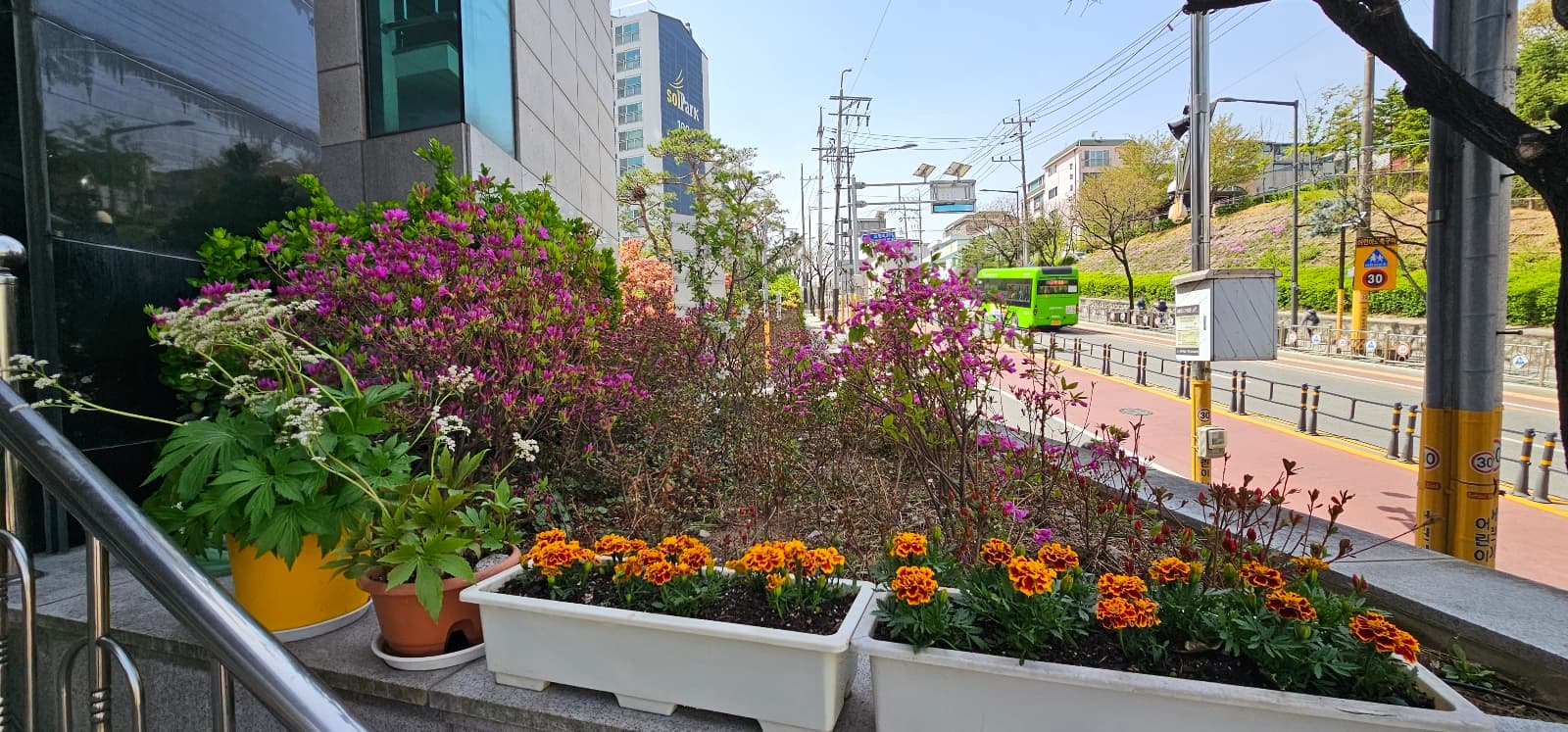 2023 봄맞이 대청소 및 화단 가꾸기 (4) - 2