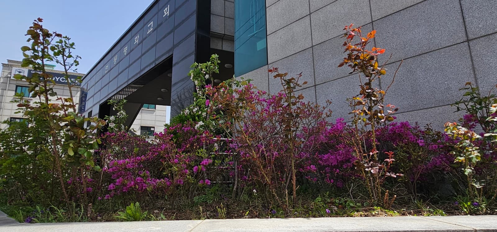 2023 봄맞이 대청소 및 화단 가꾸기 (4) - 3