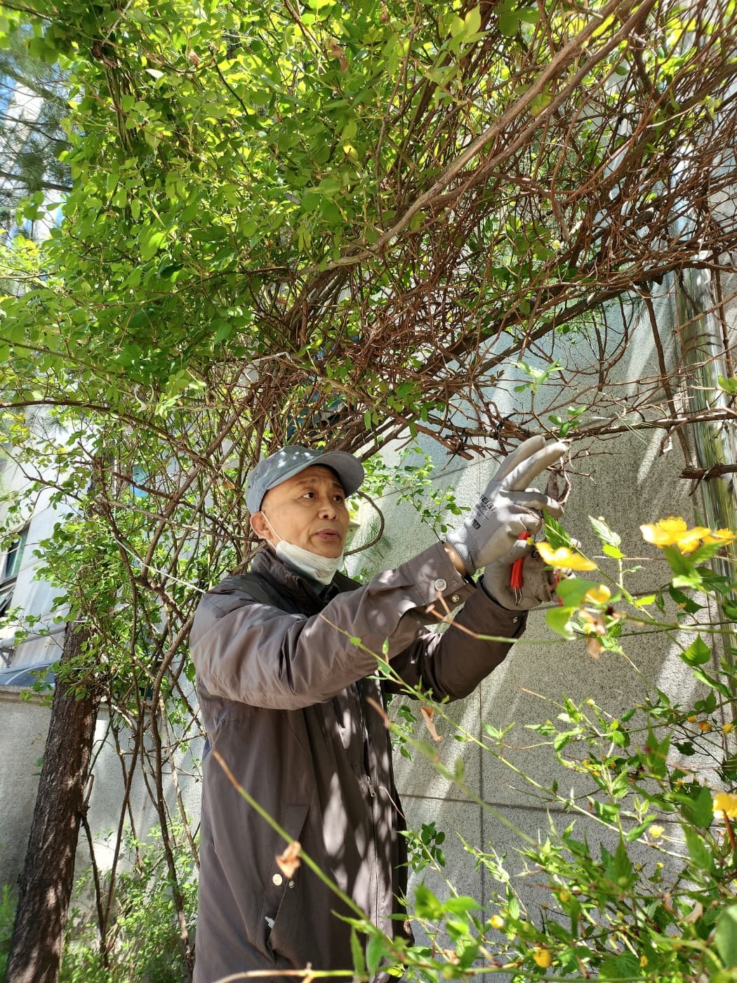 2023 봄맞이 대청소 및 화단 가꾸기 (1) - 4