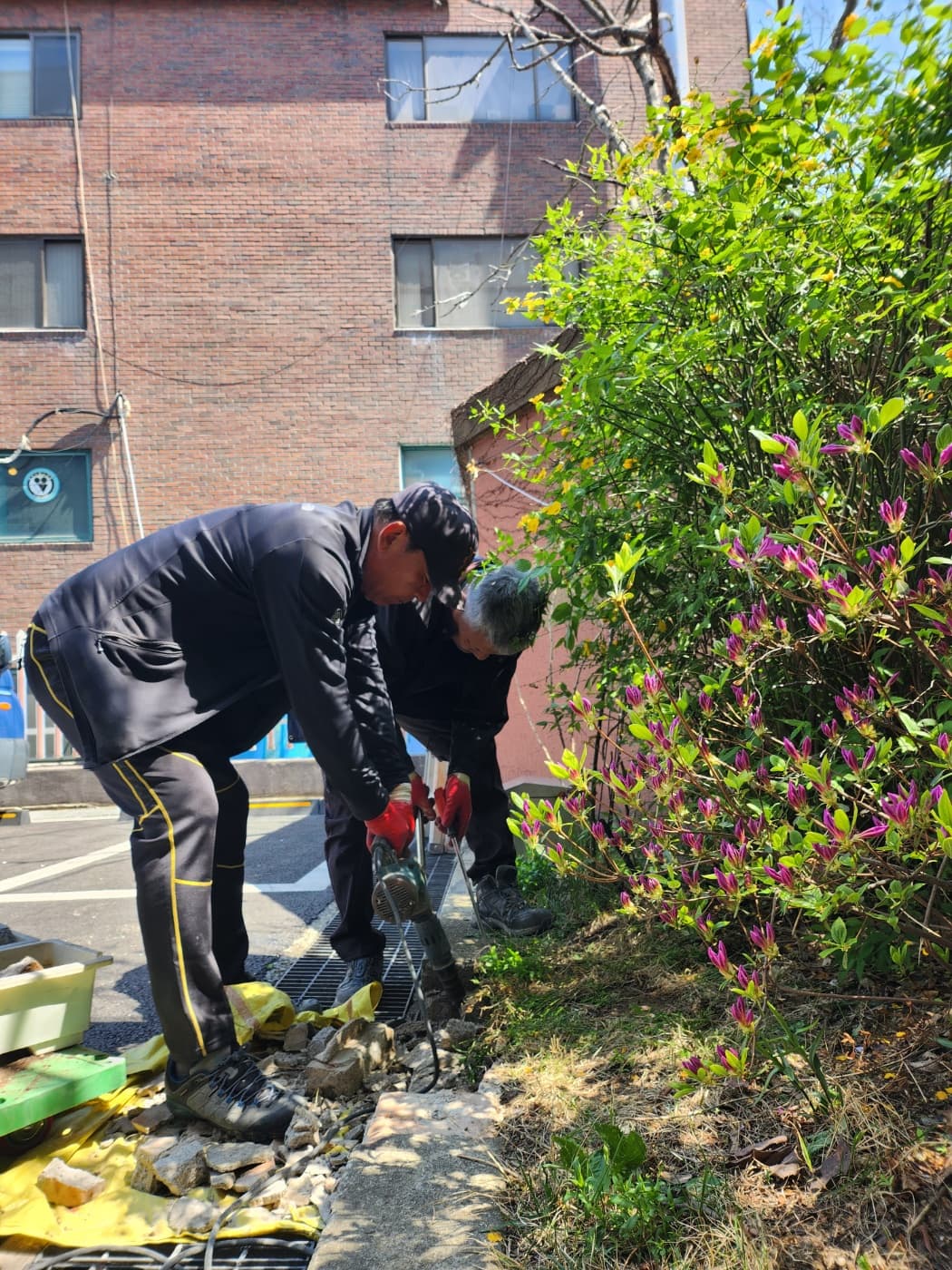 2023 봄맞이 대청소 및 화단 가꾸기(2) - 2