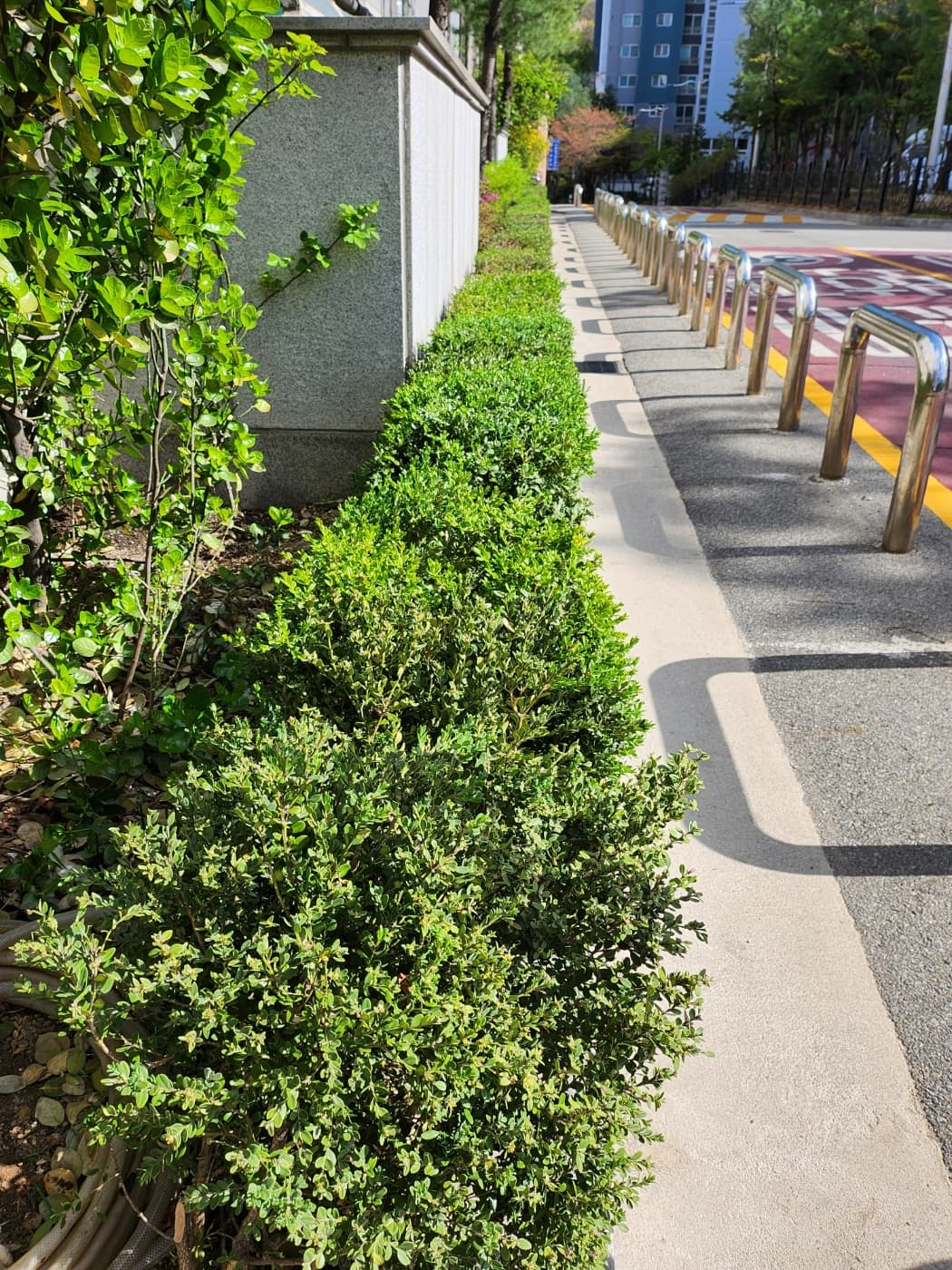 2023 봄맞이 대청소 및 화단 가꾸기 (3) - 7