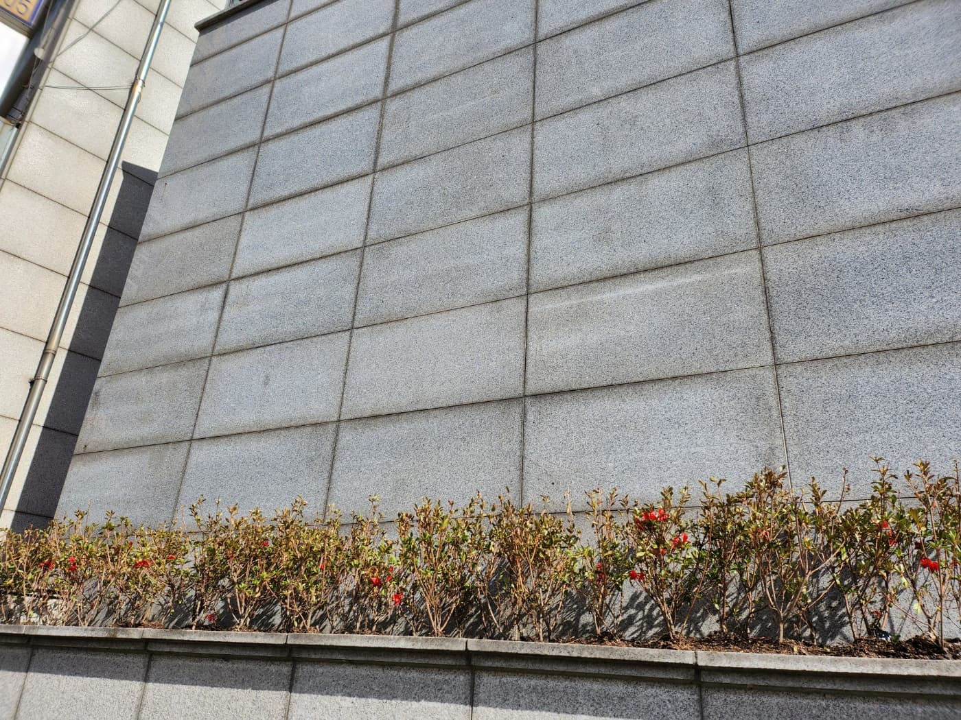 2023 봄맞이 대청소 및 화단 가꾸기 (3) - 8