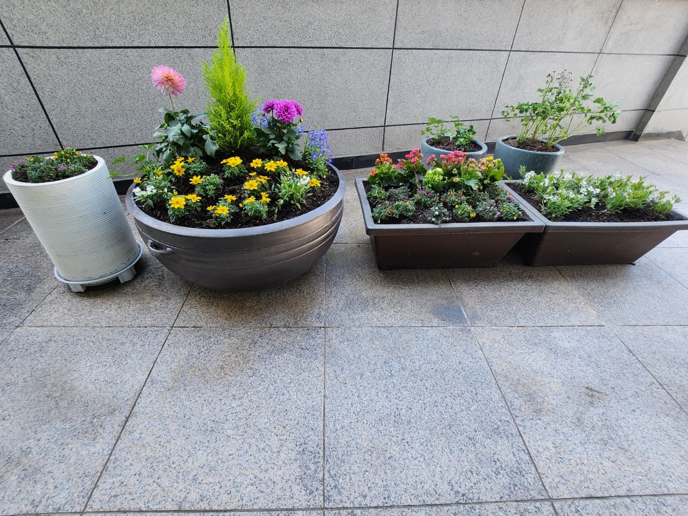 2023 봄맞이 대청소 및 화단 가꾸기 (3) - 10