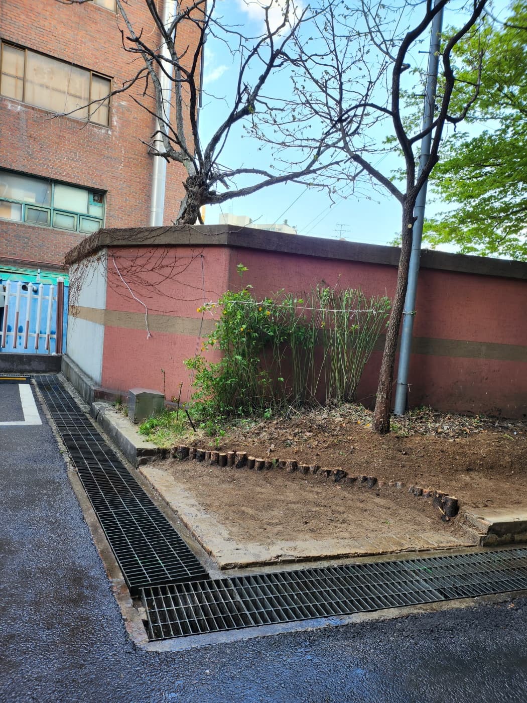 2023 봄맞이 대청소 및 화단 가꾸기 (3) - 12