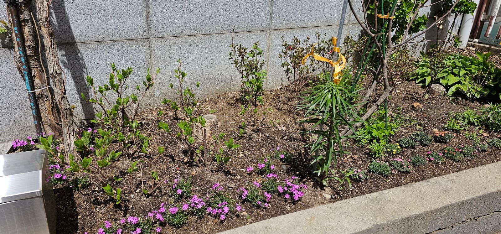 2023 봄맞이 대청소 및 화단 가꾸기 (3) - 13