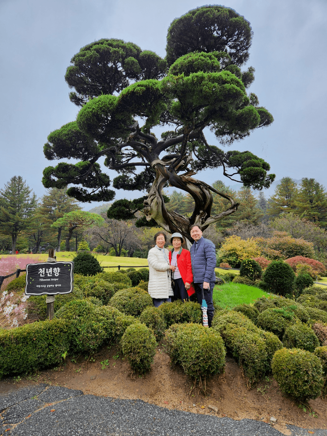 2023. 10. 19 효도관광(사진) - 18