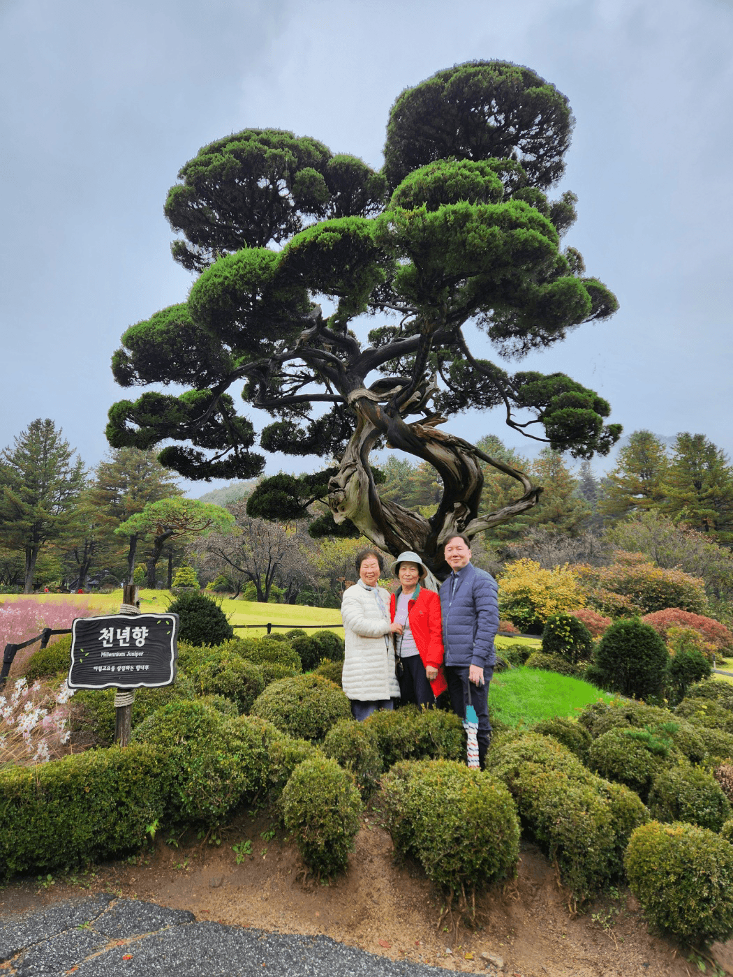 2023. 10. 19 효도관광(사진) - 19