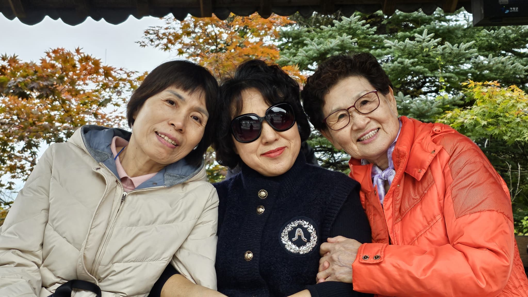 2023. 10. 19 효도관광(사진) - 28