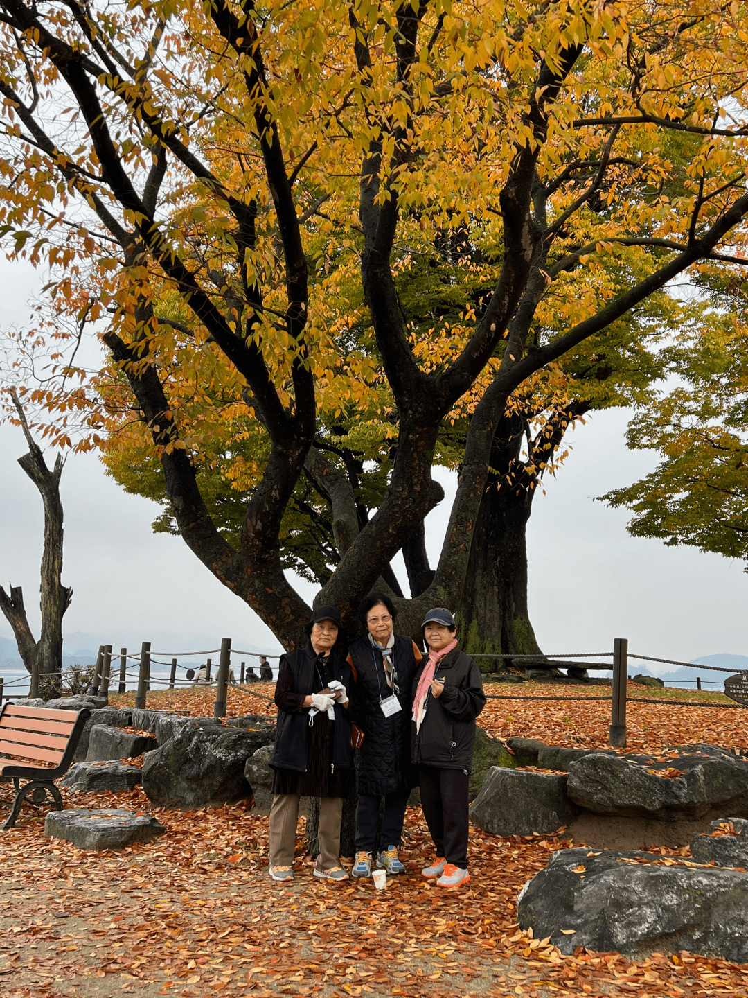 2023. 10. 19 효도관광(사진) - 58