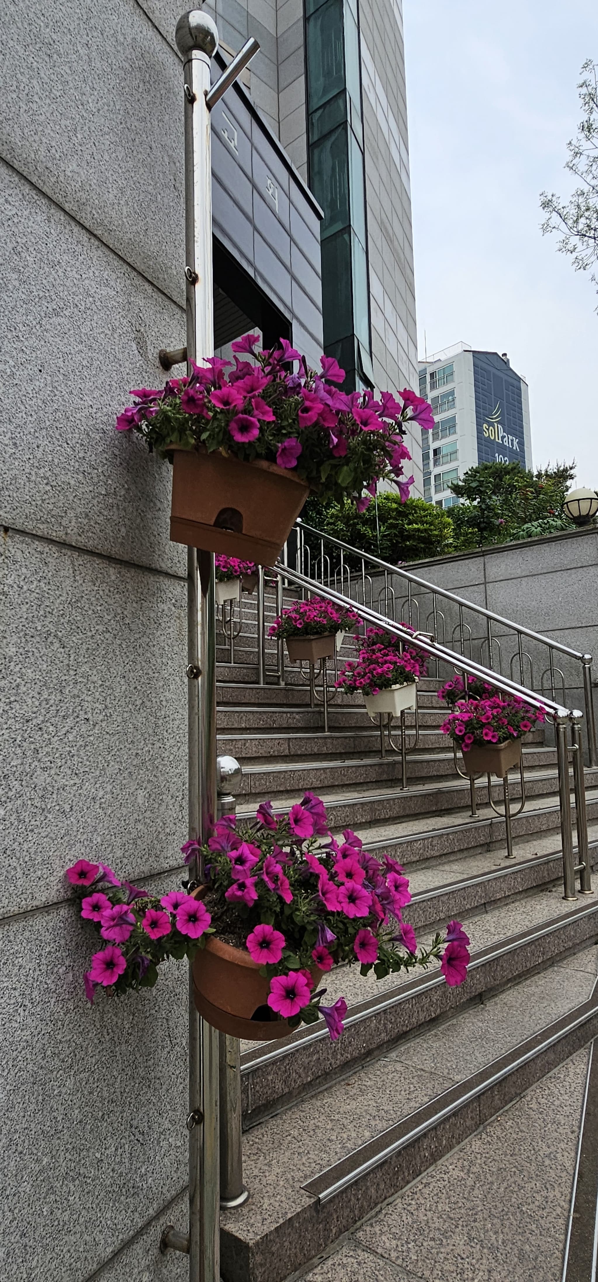 2025년 4~6월 번동평화교회 화단꽃 이야기(2) - 4