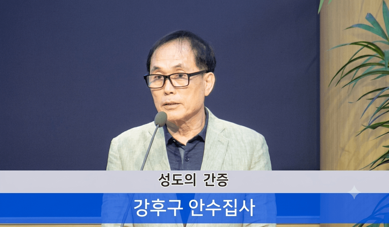 사진 5