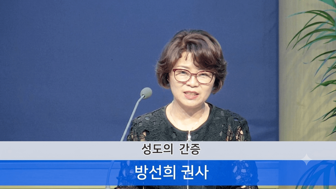 사진 6
